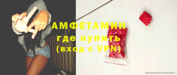 шишки Богородицк