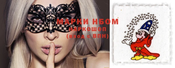 шишки Богородицк