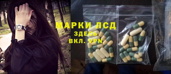 шишки Богородицк