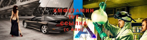 шишки Богородицк