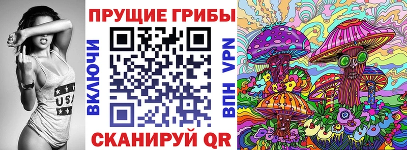 Псилоцибиновые грибы мухоморы  купить наркотики сайты  Кстово 